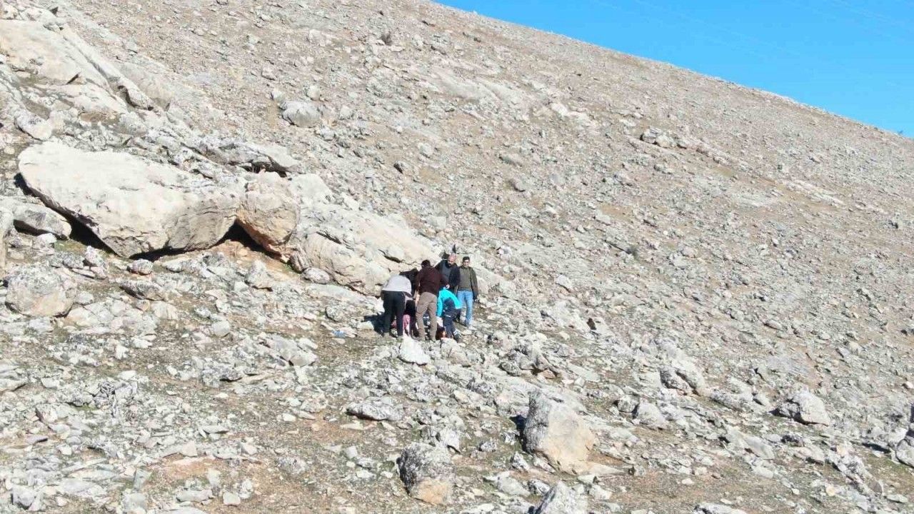 Siirt'te kayıp genç kız bulundu - İşin Detayı Haber