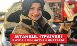 İSTANBUL İTFAİYESİ 5 AYDA 6 BİN HAYVAN KURTARDI