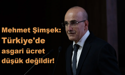 Mehmet Şimşek: Türkiye'de asgari ücret düşük değildir!