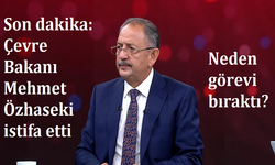 Son dakika: Çevre Bakanı Mehmet Özhaseki istifa etti