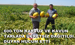 600 TON KARPUZ VE KAVUN TARLADA ÜCRETSİZ DAĞITILDI. DUYAN HUCUM ETTİ