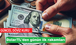 Dolar kaç TL oldu, Euro ne kadar? (25 Kasım Pazartesi Güncel Döviz Kurları)