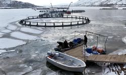 Antarktika değil Erzincan; Belgeselleri aratmayan görüntülerle buz tutan gölde balıkçılık serüveni