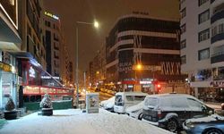 Van’da yoğun kar yağışı etkili oldu