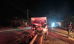 Refüje çıkan kamyonet ağaçları devirip, direğe çarparak durabildi