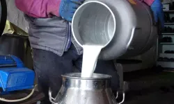 Ardahanlı Süt Üreticileri Fiyatlardan Dertli