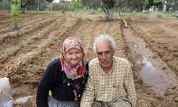 Mutluluğu toprakta buldular