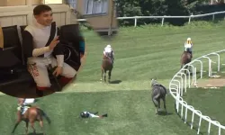Jokey Mertcan Çelik, hastanede yaşam savaşı veriyor