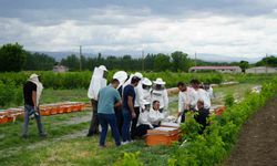 Iğdır’da arı kovanı dağıtım töreni düzenlendi