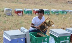 Siirtli arıcının arılarla kurduğu bağ görenleri şaşırtıyor