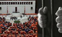 Ceza ve Güvenlik Tedbirlerinin İnfazına Yönelik Yeni Düzenlemeler Resmi Gazete’de!