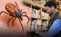 Kene kabusuna karşı doğal kalkan: Vatandaşlar aromatik yağlarla korunmaya çalışıyor