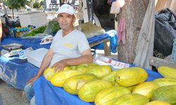 Manisa’da Altınbaş Kavununda hasat başladı