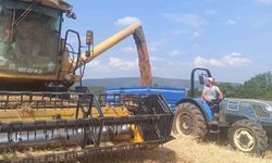 Tarım şehri Bilecik’te arpa ve buğday bereketi