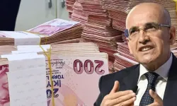 Şimşek: Zarar Gösteren Firmalar Kâr Beyan Etti!