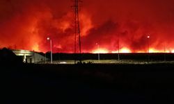 Tekirdağ’da orman yangını geceyi gündüze çevirdi