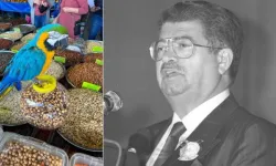 8. Cumhurbaşkanı Turgut Özal’ın papağanı ‘Cabbar’ yine çalındı