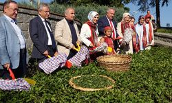 Bakan Göktaş: "Aile bizim istikbalimiz"