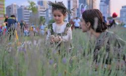 Başkentliler Keçiören’deki lavanta festivaline akın etti