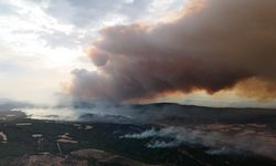 Çanakkale ateş çemberinde: Gelibolu’da devam eden orman yangını dron ile görüntülendi