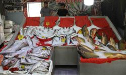 Esnafta ‘balık sezonu’ hazırlığı