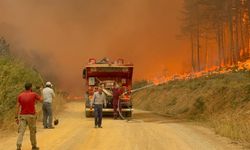 Karabük’teki orman yangını rüzgarın etkisiyle büyüyor