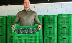 Yeşil Bodrum Mandalini, vatandaşla buluşuyor