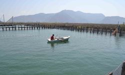 Havuzlar açılmadı, tonlarca balık telef oldu iddiası