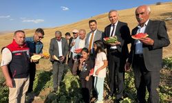 Yüksekova’da mısır, karpuz ve kavun hasadı yapıldı