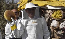 Bitlis Valisi Karakaya dünyaca ünlü karakovan balının hasadını yaptı