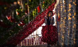 Gaziantep sebze kurutmalıkları küresel lezzet haline geldi