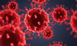 Koronavirüs Sessizliğini Bozdu: Yeni Varyantlar Acil Servisleri Doldurdu, Zayıf Bireylerde Ölüm Riski 5,75 Kat Arttı