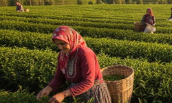 Şekerbank’tan Dünya Kadın Çiftçiler Günü’ne Özel Kampanya