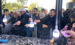 Artvin’in Hopa ilçesinde kilosu 20 liradan satılan 3 ton hamsi 2 saatte tükendi