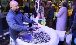 Çorum’da hamsi coşkusu kilosu 40 liraya düştü: Metrelerce uzunlukta kuyruk oluştu