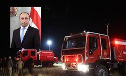 Gürcistan İçişleri Bakanı Geladze, Türkiye'ye ait asker kargo uçağının düştüğü bölgede