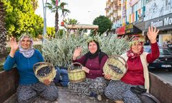 Manavgat’ta Zeytin ve Zeytinyağı Festivali’nin ikincisi başlıyor