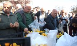 Mandalinanın fiyatı 2 TL’ye düşünce tonlarca ürünü vatandaşlara ücretsiz dağıttılar