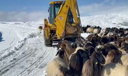 Muş’ta yoğun kar yağışı