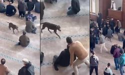 Camiye giren pitbull tedirginliğe neden oldu