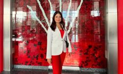 Meclis üyesini sıkıştırıp, aracı yumrukladı… O anlar kamerada