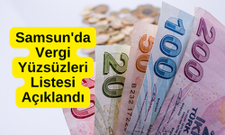 Samsun’un ’vergi yüzsüzleri’ açıklandı