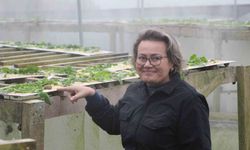 Trabzon’dan dünyaya ’Googlis’