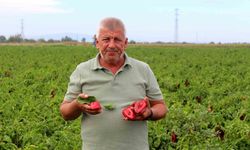 Çiftçilerden çağrı: "Üretim maliyetleri baskılanamaz hale geldi"