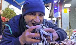 Türkiye’yi terk eden hamsinin yolu gözleniyor