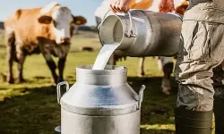 Aralık ayında ticari süt işletmelerince 930 bin 898 ton inek sütü toplandı