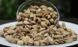 "Fıstıkta ithalat kapısı kapatılsın" talebi