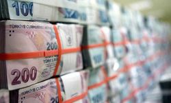 Hazine ve Maliye Bakanlığı Ocak Bütçe Rakamlarını Paylaştı