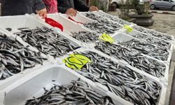 Zonguldak’ta Sevgililer Günü’ne özel hamsi kampanyası: Kilosunu 100 liradan sattılar