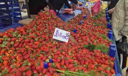80 TL’lik çileğe yoğun ilgi